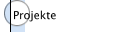 Projekte